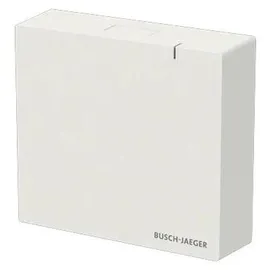 Busch-Jaeger System Access Point SAP.13