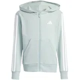 adidas Essentials Wonder Sage/White 140