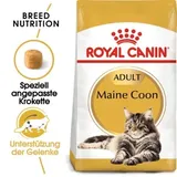 Royal Canin Adult Maine Coon