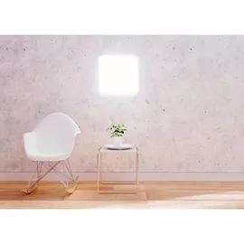 Müller-Licht (404045)