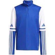 adidas Squadra 25 Team Royal Blue/White 116