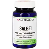 Salbei 120 mg GPH Kapseln 60 st