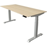 Kerkmann Move 4 elektrisch höhenverstellbarer Schreibtisch ahorn rechteckig, T-Fuß-Gestell silber 180,0 x 80,0 cm