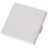 Gira Wechselschalter System 55