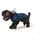 Hunter Milford Hunderegenmantel 30 cm Blau