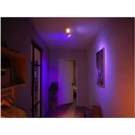 Philips Hue White & Color Ambiance Centris Spot 2-flg. schwarz