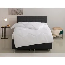 Microfaserbettdecke HOME AFFAIRE "Sartes, Bettdecke 135x200 cm, 155x220 cm", weiß, B:135cm L:200cm, Bezug: 100% Polyester. Füllung: 100% Polyester, Bettdecken, Bettdecken, Sommer, Decke, für Allergiker geeignet