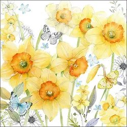 20 Servietten Papier 33x33cm 3-lagig - hochwertige Einweg Papierservietten Narzissen Schmetterlinge Motiv Partyservietten Blumenmotiv Frühling Sommer