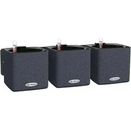 LECHUZA Green Wall 48 x 15 x 14 cm schiefergrau