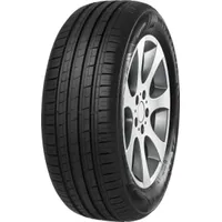 MINERVA F209 195/55R16 87H