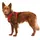 Ruffwear Front Range Hundegeschirr red canyon XS