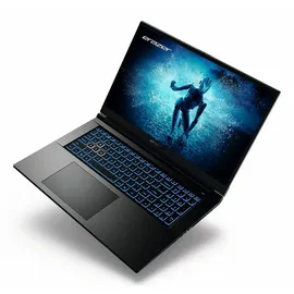 Medion Defender P50 17,3" Intel Core i7-12650H 16 GB RAM 1 TB SSD RTX 4060 Win 11 Home Schwarz