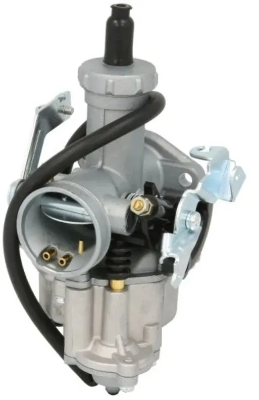 Carburateur INPARTS IP000557