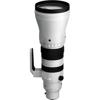 Sigma 300-600mm DG OS Sports Sony