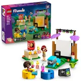 LEGO Friends Filmabend mit Freunden