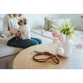 Hunter Verstellbare Führleine Canadian Up