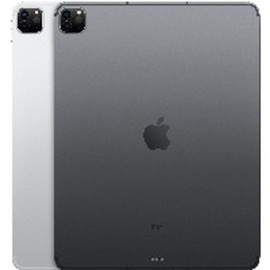 Apple iPad Pro Liquid Retina 12.9" 2021 1 TB Wi-Fi + Cellular space grau