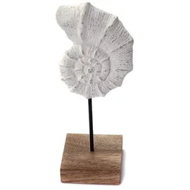 creedwood Muschel AUFSTELLER Shell | Mangoholz, weiß, 31cm | Dekofigur, Muschel Skulptur, Standfigur maritim, Bad Deko Meeresdeko, Deko Aufsteller