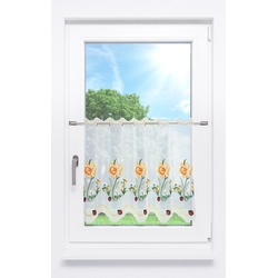 Scheibengardine Plauener Spitze - Osterglocke " (Bx H) 256cm * 55cm" Orange/Orangegelb