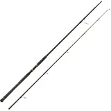 Zeck Blinker Jörg Spin 270 30-180g Welsrute Spinnrute