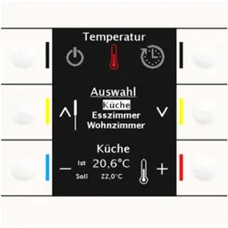 MDT technologies Bedienzentrale Smart 86 Farbdisplay rws/glän BE-BZS86.01