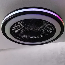 Brilliant Palmero 1 Ventilator rund schwarz