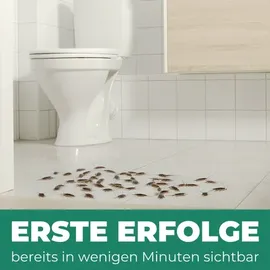 Silberkraft Silberfischspray Insektenvernichter 2000 ml