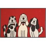 Wash+Dry Three Dogs 50 x 75 cm Rot