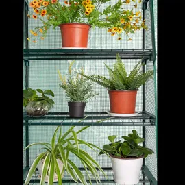 Gardebruk Foliengewächshaus pulverbeschichtet Grün Blankglas 0 mm 0,34 m2