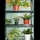 Gardebruk Foliengewächshaus pulverbeschichtet Grün Blankglas 0 mm 0,34 m2