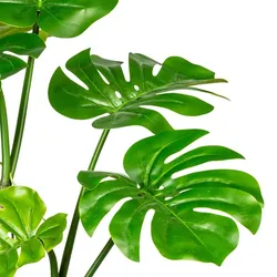 CREATIV green Künstliche Pflanze Splitphilodendron 75cm im Topf