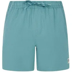 PROTEST Herren Badeshorts PRTWytona, Arcticgreen, XL