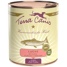 Terra Canis Classic Lachs mit Hirse, Pfirsich und Kräutern