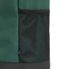 adidas LINEAR BACKPACK Collegiate Green/Ivory
