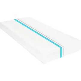 vidaXL Matratze 160 x 200 cm H2/H3