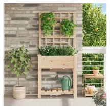 vidaXL Garten-Pflanzgefäß 71 x 38 x 152 cm Beige