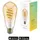 Hombli Filament Bulb CCT E27 ST64-Amber 6 W E27 warmweiß 1 St.