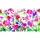 d-c-fix Folie Premium Miraflore statisch haftend 45 cm x 1,5 m
