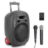 Ibiza PORT8UHF-MKII-TWS schwarz