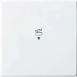 Busch-Jaeger Wippe 1-f Symbol Szene studioweiß 6233-10-84
