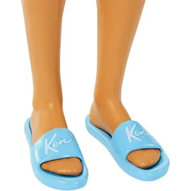 Barbie Ken (HPL74)