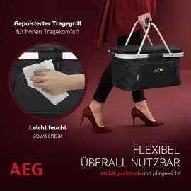 AEG KS 26 Korb 12 V/DC