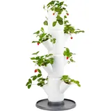 Gusta Garden Sissi Strawberry 32 x 27 x 77 cm Weiß