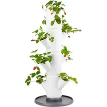 Gusta Garden Sissi Strawberry 32 x 27 x 77 cm Weiß