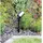 ChiliTec TELARANA (CT23581) Schwarz