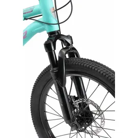 Bikestar 20 Zoll RH 30 cm türkis