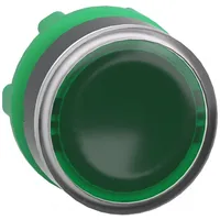 Schneider Leuchtdrucktaster 22mm Grün