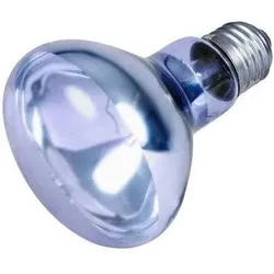 TRIXIE Neodymium Wärme-Spot-Lampe 100W