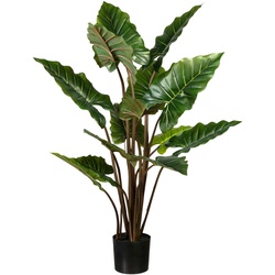 Künstliche Zimmerpflanze CREATIV GREEN "Taropflanze" Kunstpflanzen Gr. H: 140 cm, 1 St., grün Kunstpflanzen