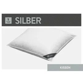 SPESSARTTRAUM Federkissen Silber 80 x 80 cm Weiß